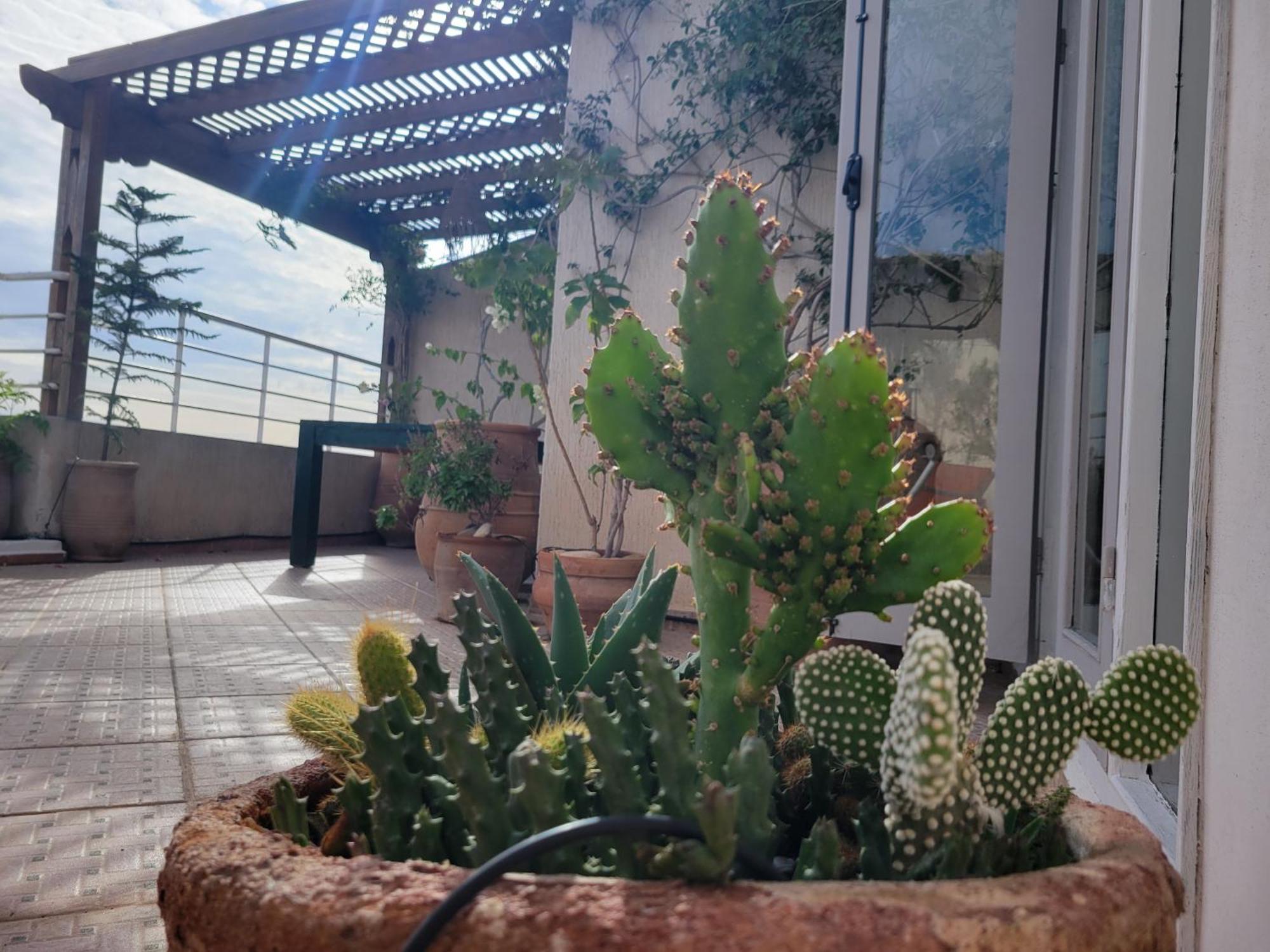 Las Terrazas Mogador Essaouira Bagian luar foto
