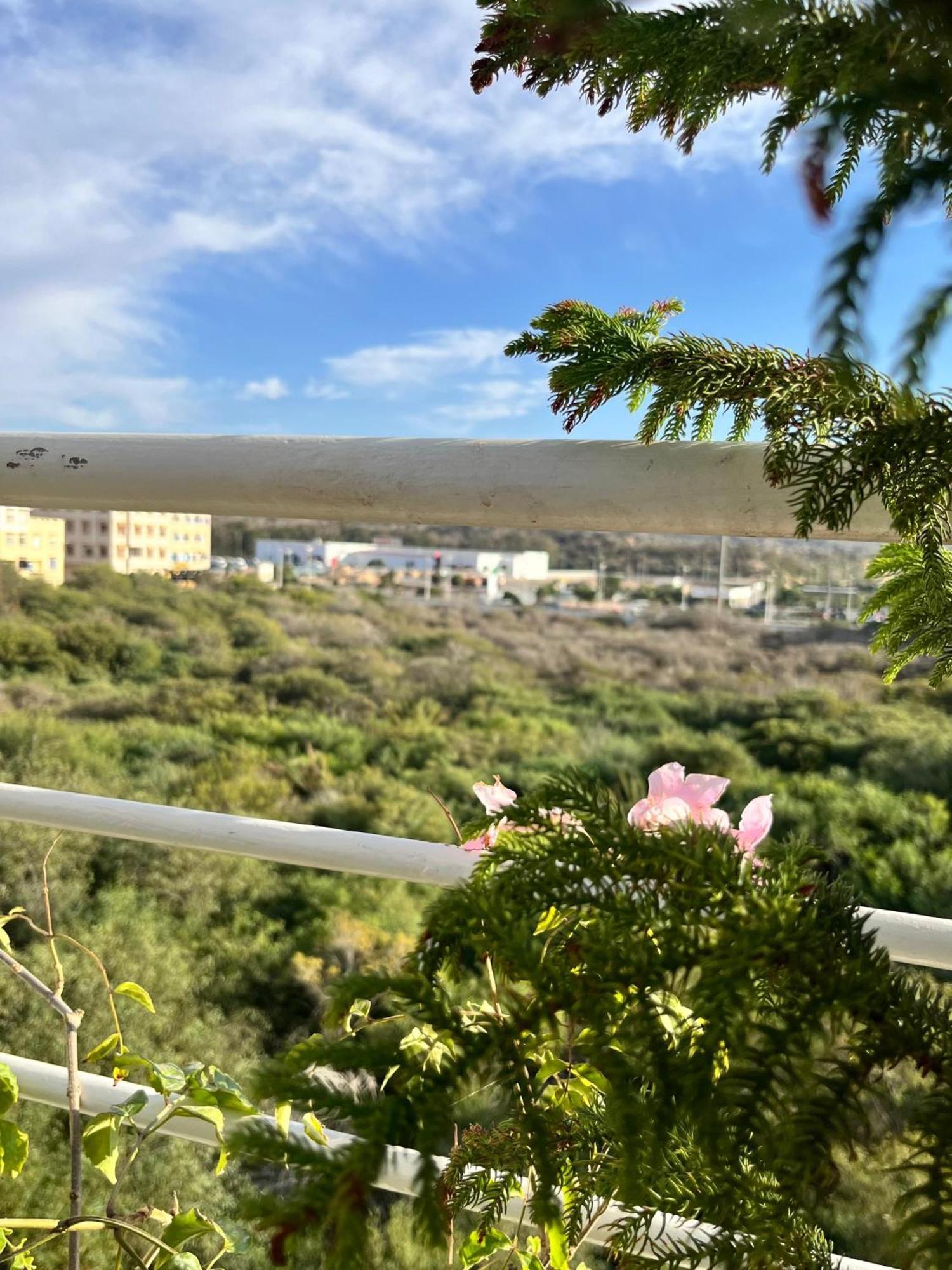 Las Terrazas Mogador Essaouira Bagian luar foto